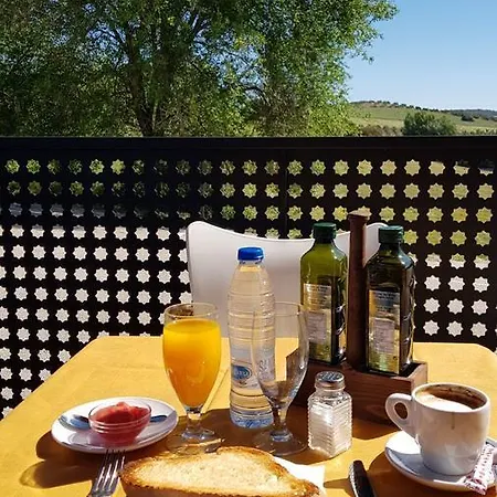 Hotel Alfonso Viii 3*