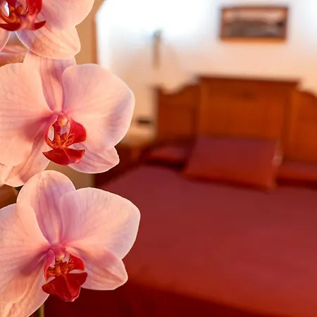 Alfonso Viii Hotel 3*