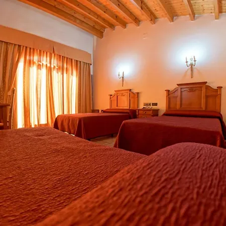 Hotel Alfonso Viii 3*